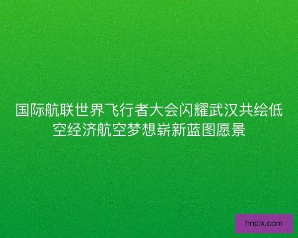 国际航联世界飞行者大会闪耀武汉共绘低空经济航空梦想崭新蓝图愿景